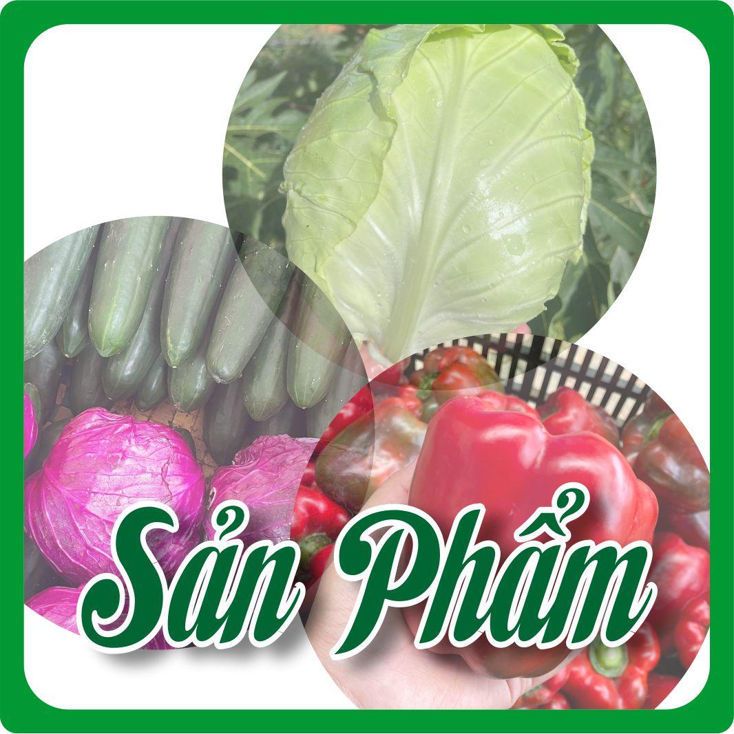 logo-san-pham