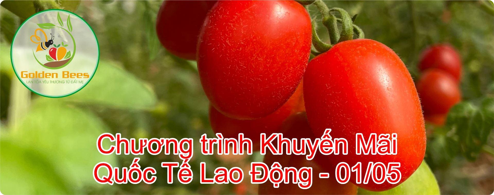 Chương trình khuyến mãi 30-4