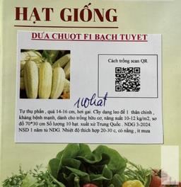 Dưa chuột Bạch Tuyết - Ló Garden