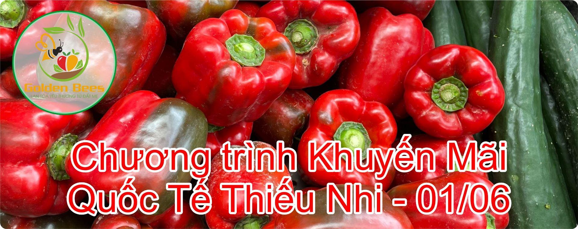 Chương trình khuyến mãi 1-6