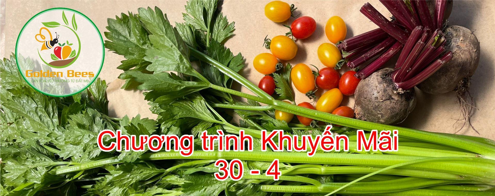 Chương trình 30 - 04