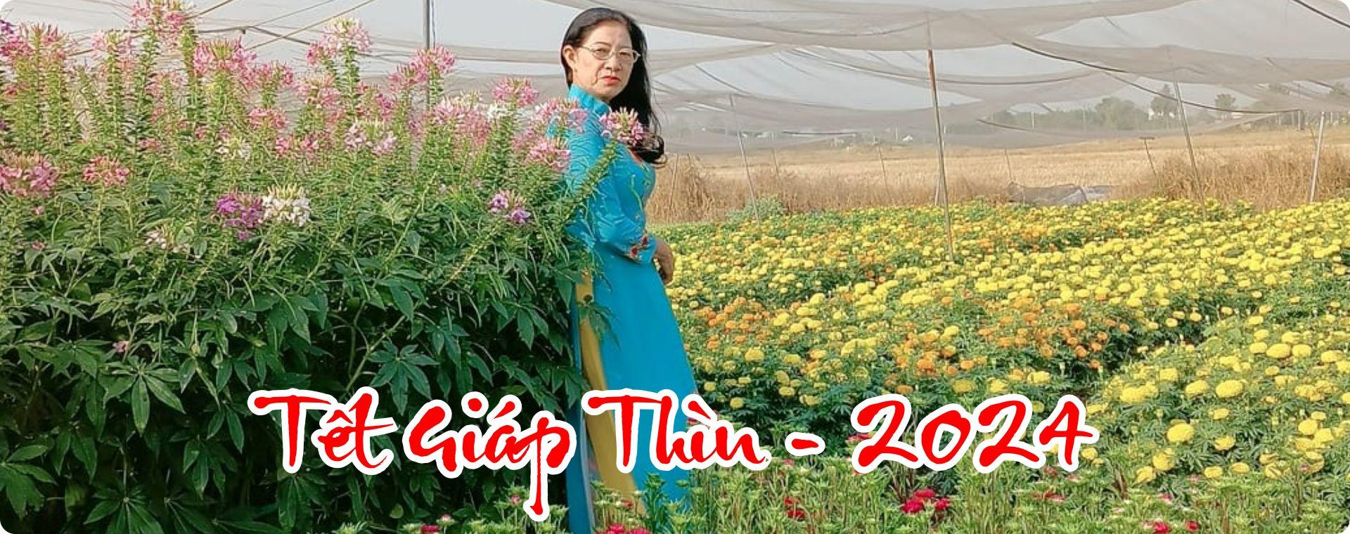 Tết Giáp Thìn - 2024